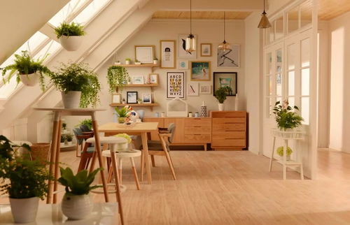 餐廳吊頂的秘訣 情人節無需去飯店，家里已經夠浪漫